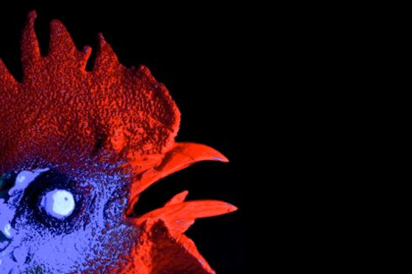 easter_chicksgonewild_icon