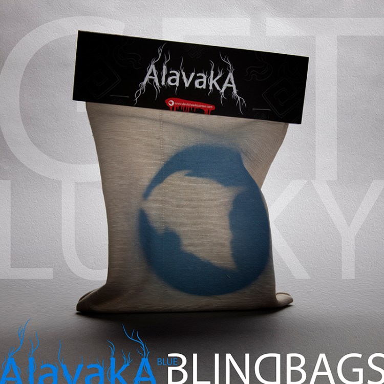 BLUEBLINDBAGS_zps298bf4a5