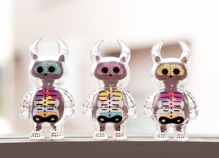 anatomy_skull_international