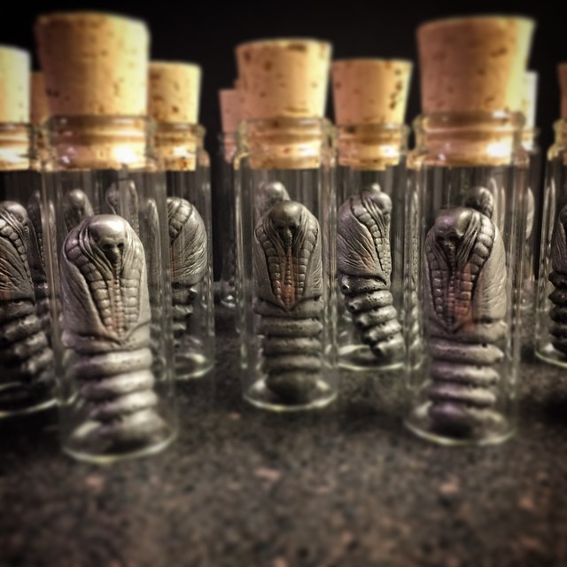 1390038_622380317870798_706902544_n