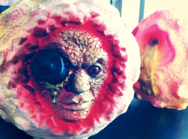 11429718_1668211926741742_64569972_n