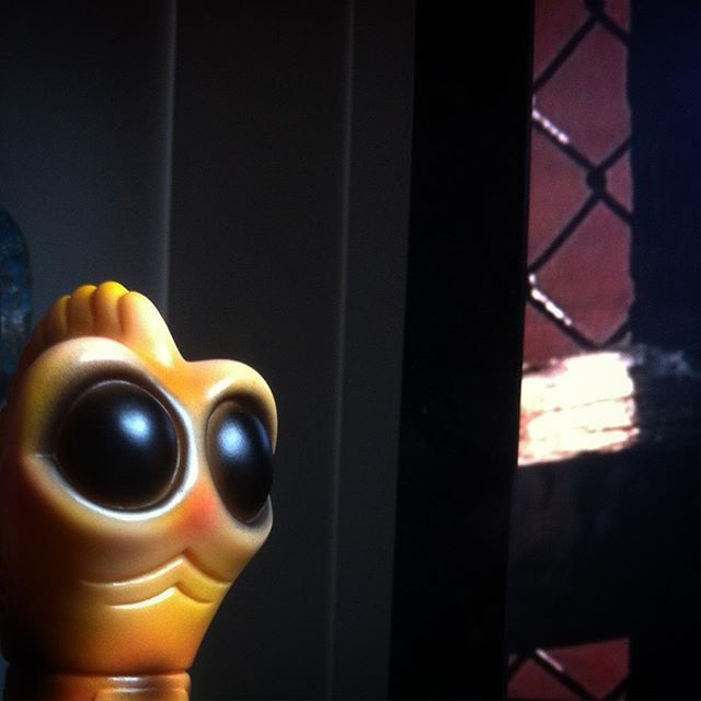 11374421_429918127194245_1856838338_n