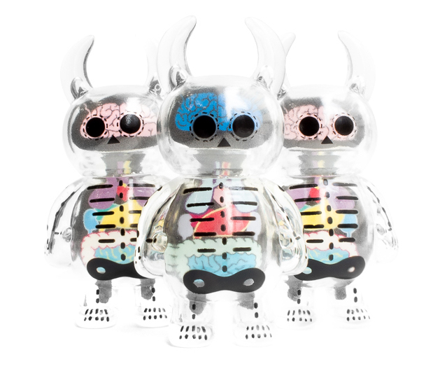 skull_anatomy_collection_04