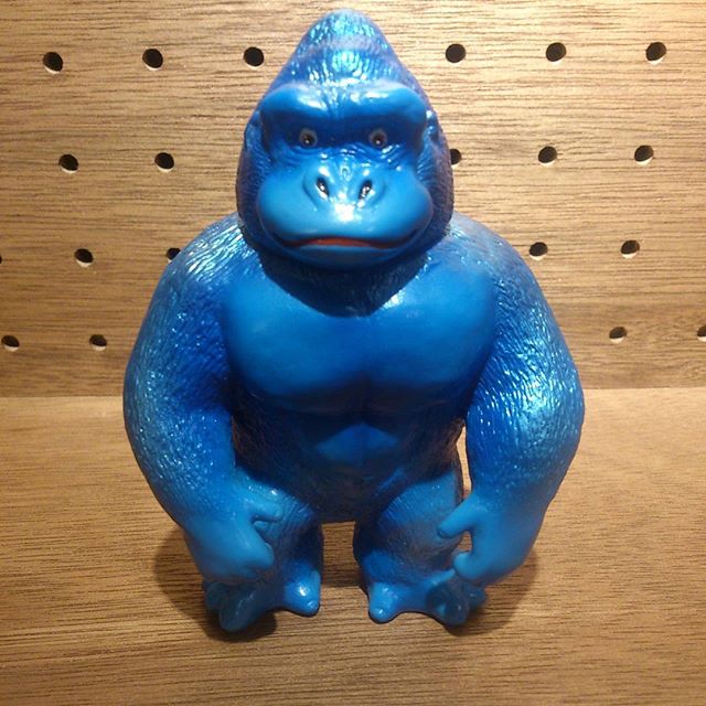 13277598_1245767938768448_435182533_n