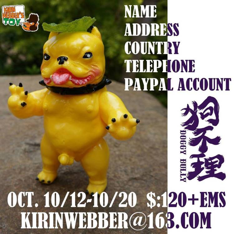 14712234_1243666119025007_1240491579920089088_n