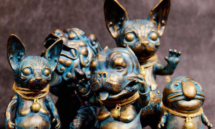 15623957_231766253935368_8282339707254210560_n