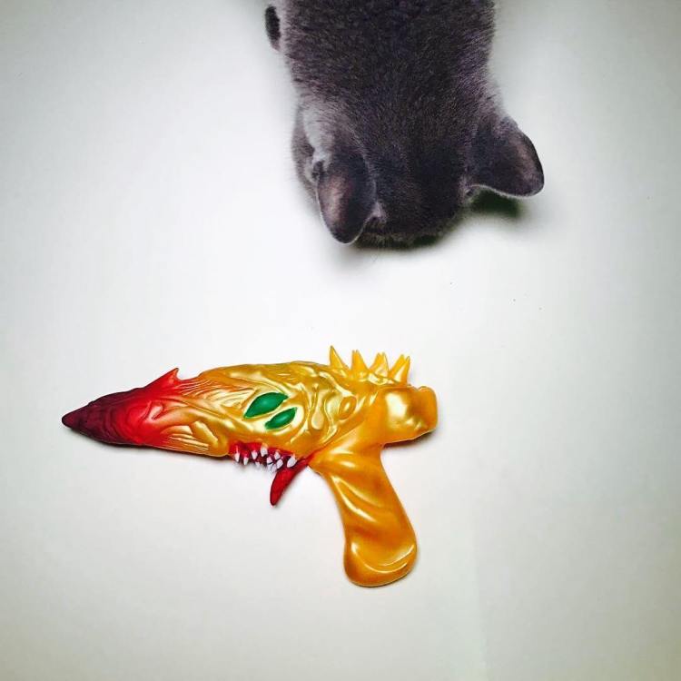 16583667_184913655326333_6774066537155264512_n