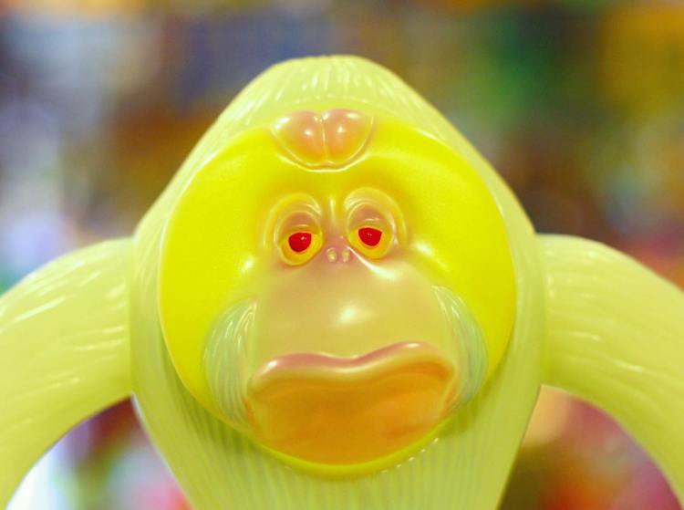 16583831_1866935463576702_1487292705829552128_n