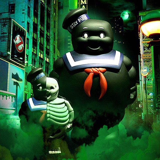 16788471_259132761204921_162625419084824576_n