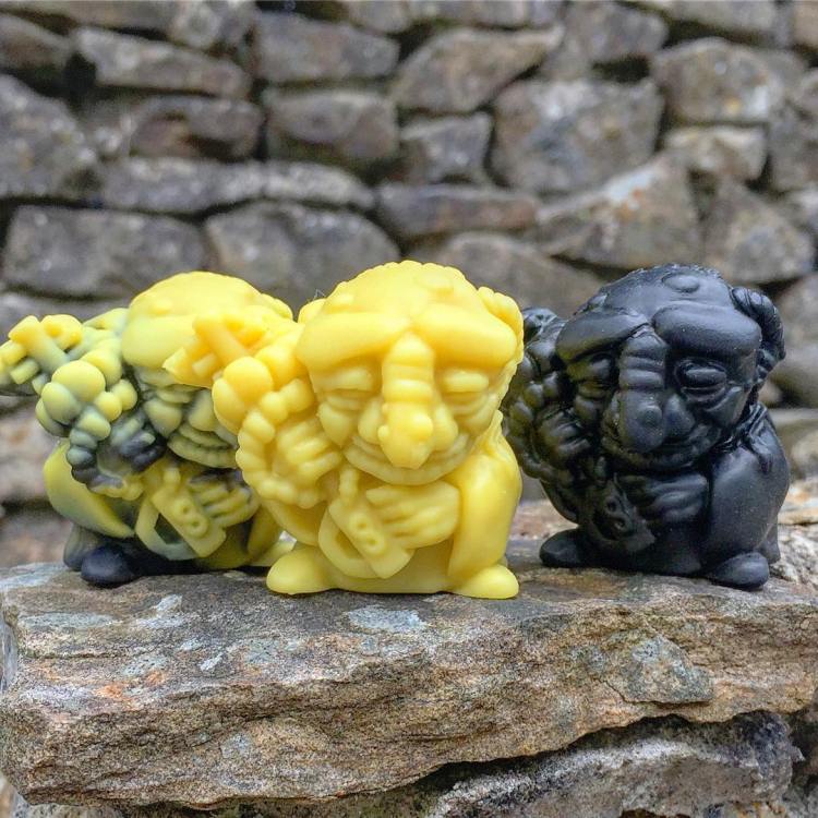 19121054_476157019395428_3833426446764736512_n