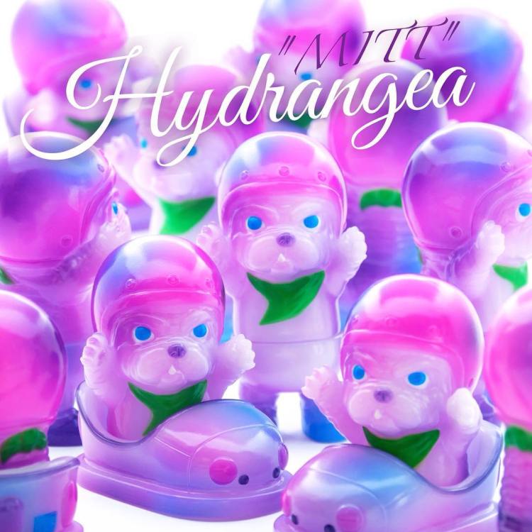 19380013_1290832454348391_960007293250830336_n