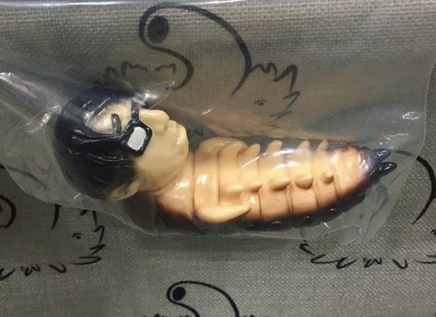 19428959_653970464807594_4020060131738779648_n