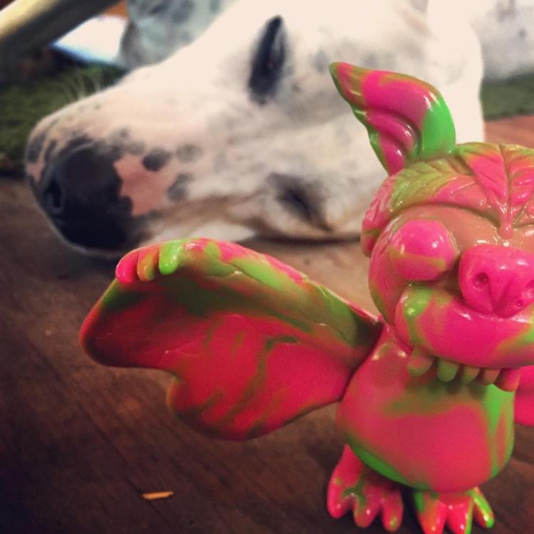 20482338_1576703629057338_151807732201029632_n