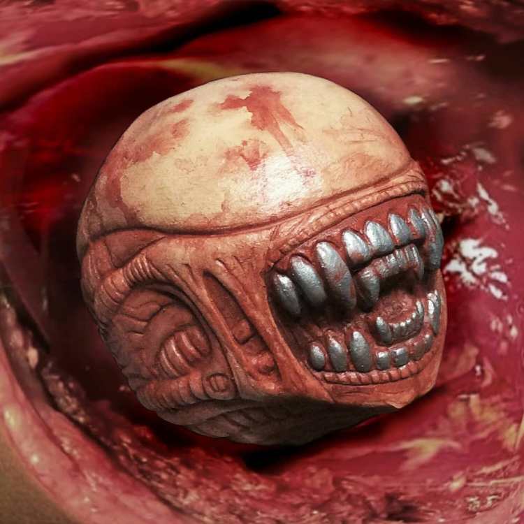 35370507_1035894279896243_3187411997637476352_n